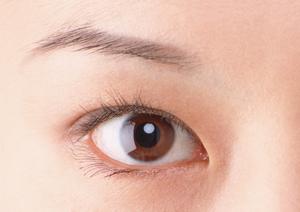 福岡市東区の信頼できる整骨院｜本多鍼灸整骨院の特徴と魅力